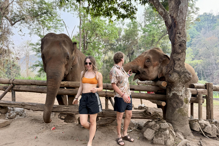 مغامرة شيانغ ماي ليوم كامل: المشي لمسافات طويلة، والتزحلق على الأنابيب، ومشاهدة الفيلةالرحلات، وا