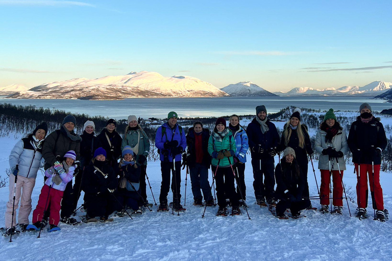 Tromsø: Snowshoeing with Reindeer