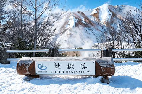 Sapporo: Lake Shikotsu Ice Festival, Noboribetsu & Lake Toya Private Sightseeing Tours