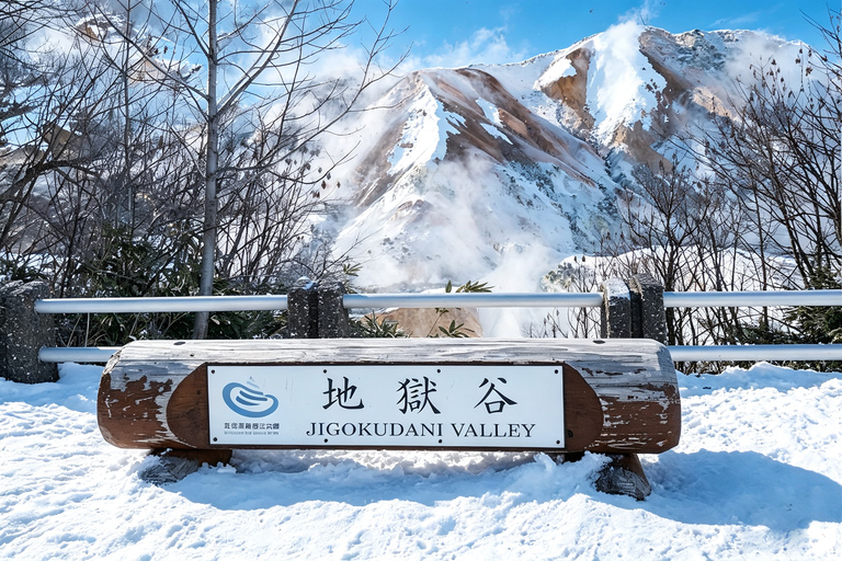 Sapporo: Lake Shikotsu Ice Festival, Noboribetsu & Lake Toya Private Sightseeing Tours