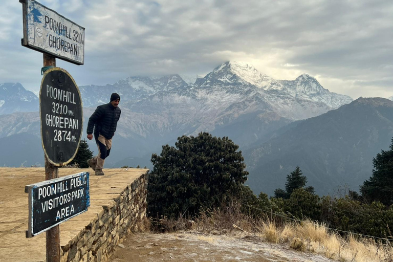 De Pokhara: Caminhada guiada de 5 dias por Poon Hill, Mulde Hill e Dobato