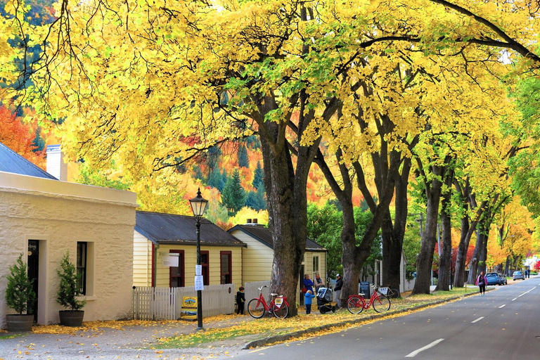 Queenstown: Premium Full-Day Central Otago Wine Tasting Tour