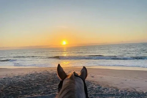 Amelia Island: Morning or Evening Horseback Rides on Beach