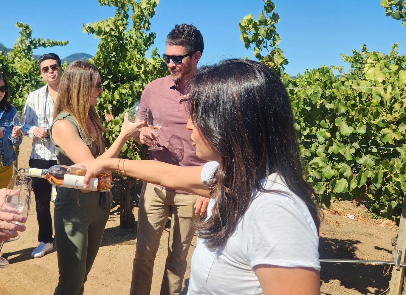 Napa Valley: guidet vintur med picnicfrokost