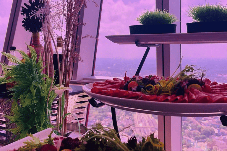 Colombo: Lotus Tower 360° Revolving Buffet & Tuk-Tuk Safari Meet at Lotus Tower Entrance: Restaurant Lunch/Dinner Buffet