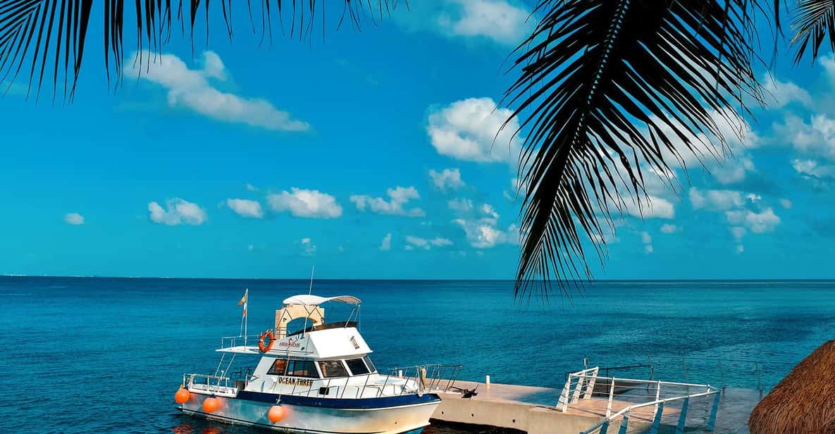Cozumel: 2 tanks certified scuba diving | GetYourGuide