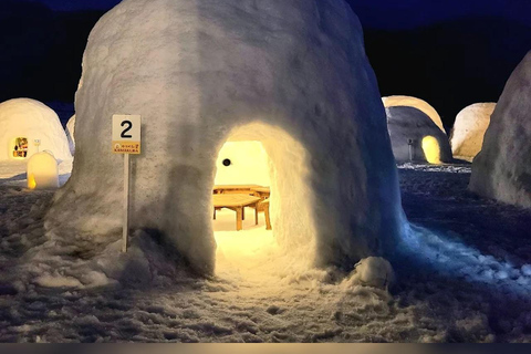 Tokyo: Nagano Private Tour with Igloo Village & snow Monkeys