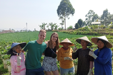 Vulcano, sorgenti calde, bagni di fango e tour del tè: tutto inclusoGiro aperto