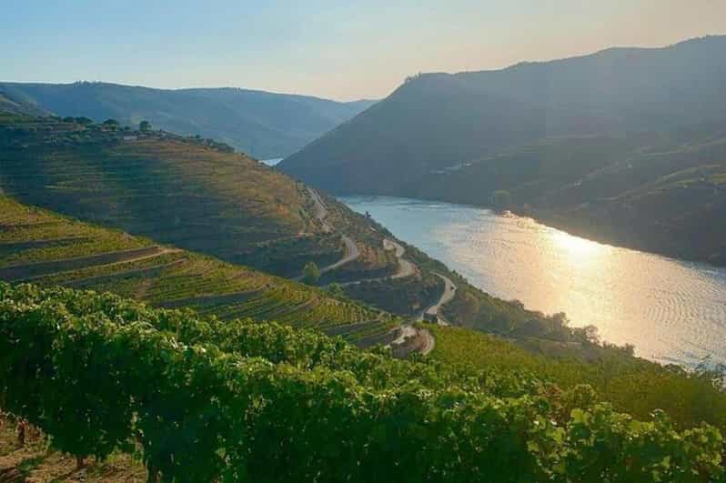 From Porto: Valle del Duero Full-Day Private Tour