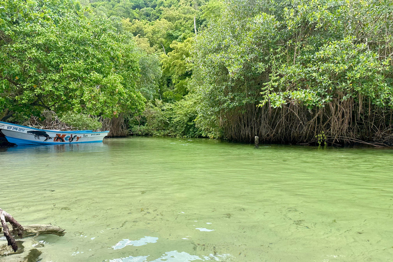 Rincon Beach och Cayo Levantado från Punta Cana