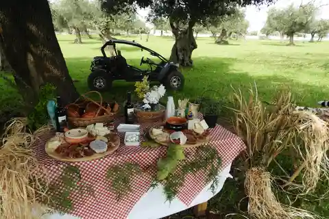 Excursions en buggy/quad dans les Pouilles