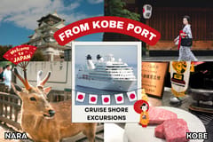 Kobe: Privater Landausflug zu Fuß – Kyoto/Osaka/Nara/Kobe