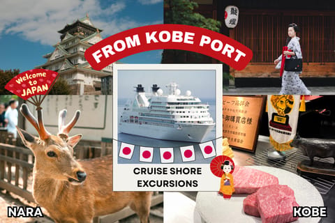 Kobe: Private Walking Shore Excursion- Kyoto/Osaka/Nara/Kobe
