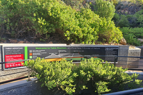 Cidade do Cabo: Ingresso para o teleférico da Table Mountain com traslado