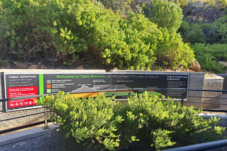 Cidade do Cabo: Ingresso para o teleférico da Table Mountain com traslado