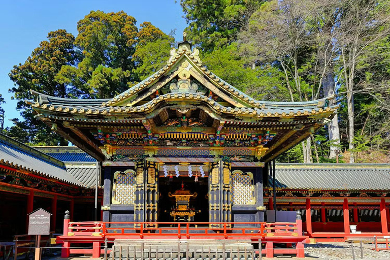 Tokyo: Nikko World Heritage & Nature Small-Group Van Tour
