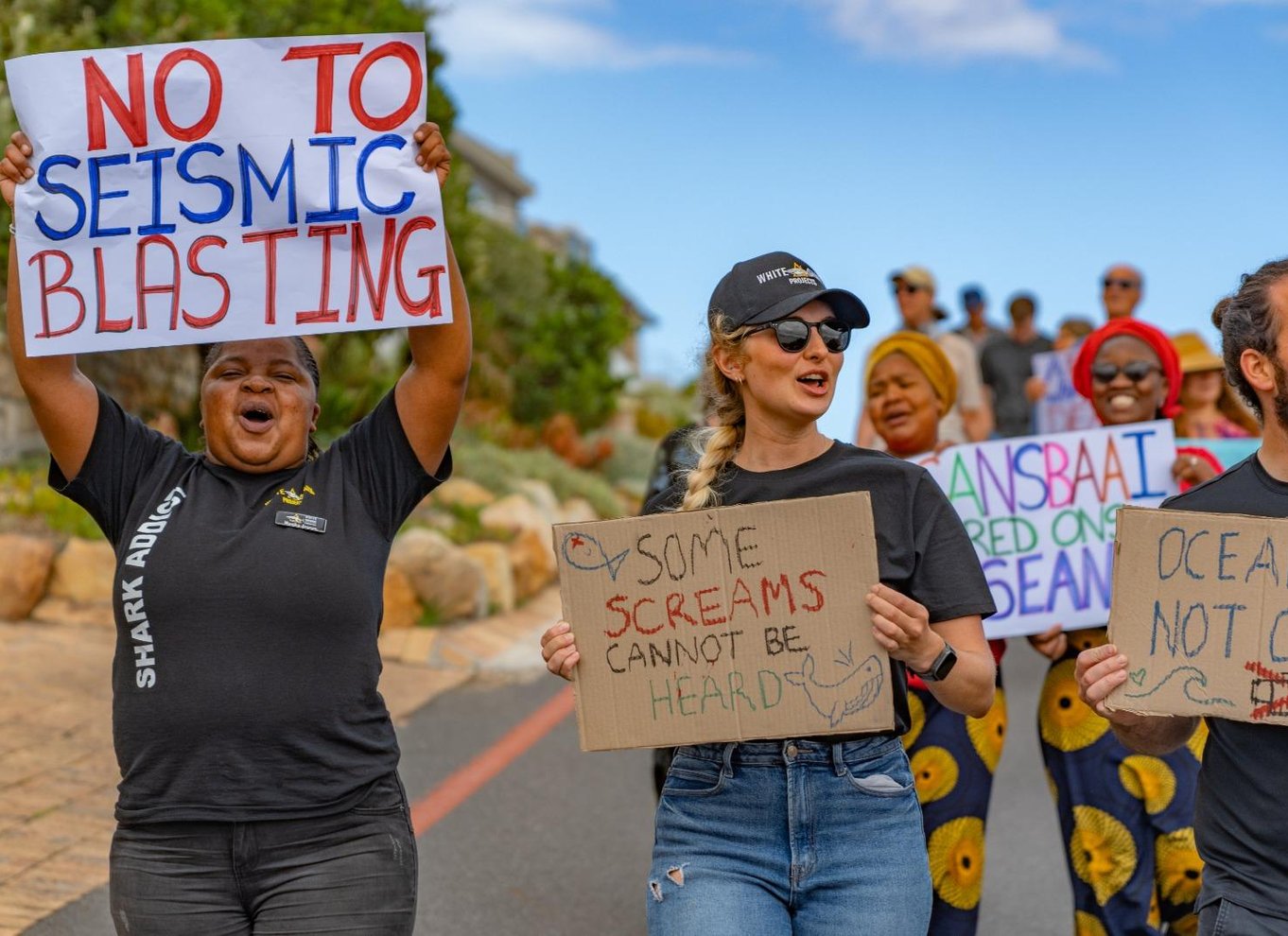 Fra Hermanus eller Cape Town: Oplevelse med hajbur-dykning