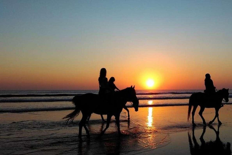 COSTA RICA:UPPTÄCK COSTARICAS VILDA DJUR-STRAND &amp; SKOG 2VECKOR