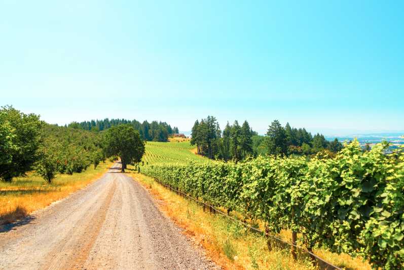 Willamette Valley Wine Tour (Tasting Fees Included)