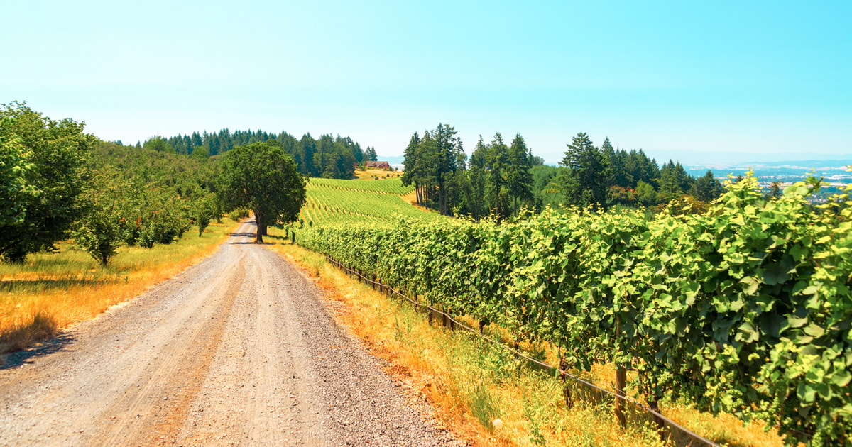 Willamette Valley Wine Tour (Tasting Fees Included) | GetYourGuide