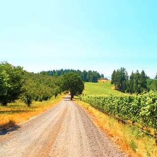 Portland: 5-Hour Willamette Valley Wine Tour with Tastings