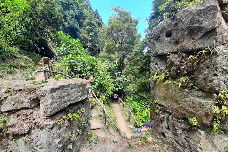São Miguel: Moinho do Felix-Wanderung mit Besuch der Teefabrik