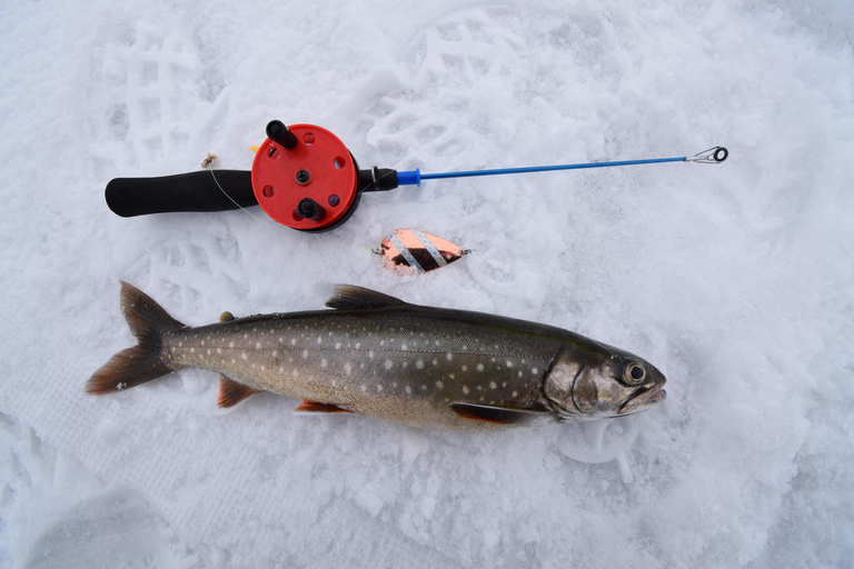 Abisko: Pesca sul ghiaccio