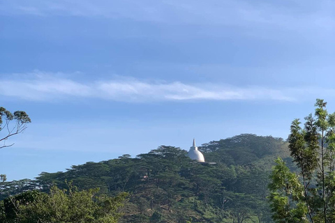 Kandy: Hidden Highlands Nature Walk