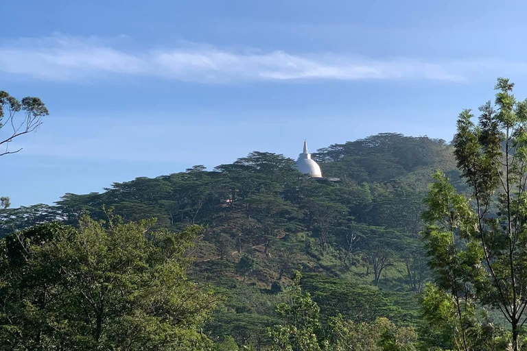 Kandy: Hidden Highlands Nature Walk
