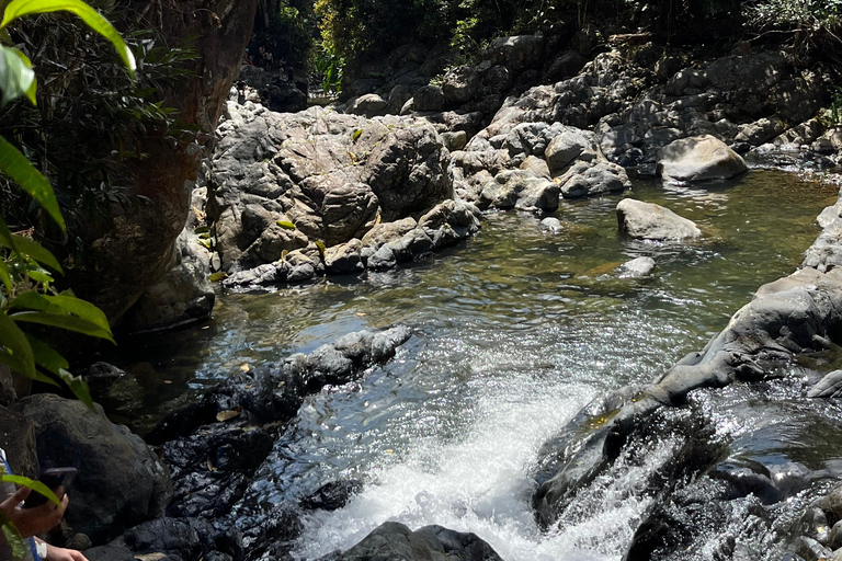 Excursion à El Yunque, rivière et toboggans aquatiques
