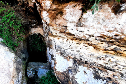 Gozo al Descubierto: Senderismo guiado en Gozo - El OesteGozo al Descubierto: Tour guiado de senderismo por el oeste de Gozo