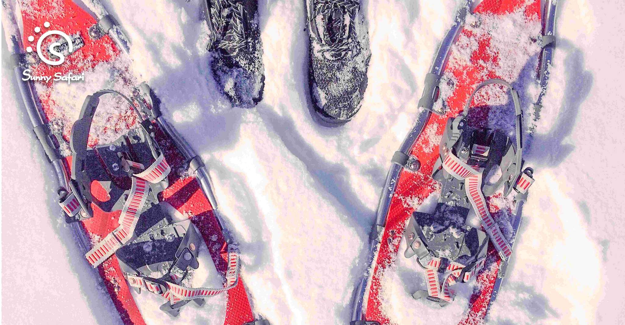 Pesca de hielo ártico por raqueta de nieve - Housity