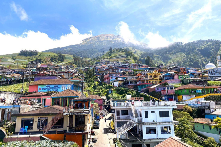 Selogriyo Temple and Java Rice Terrace Guided Trekking Tour Selogriyo Temple Java Rice Terrace Guided Trekking Tour