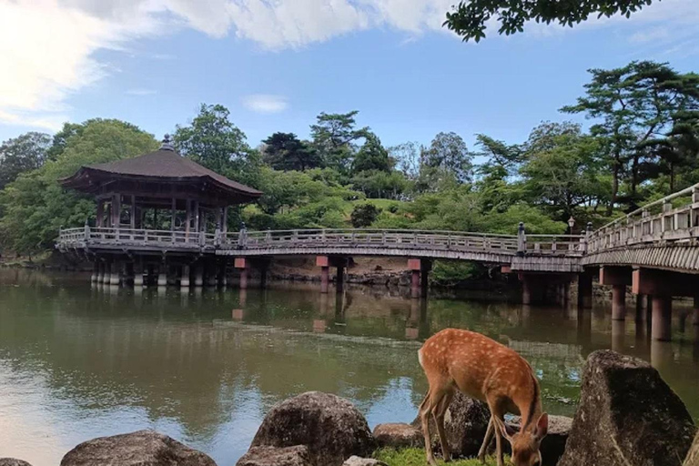 Osaka: Discovering Nara Timeless Grace Guided Tour