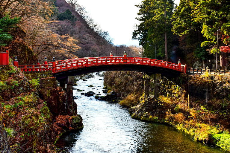 L&#039;aventure d&#039;élite de Nikko : Visite guidée privée