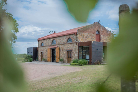 Montevideo: Viña Varela Zarranz Winery Tour with Tasting