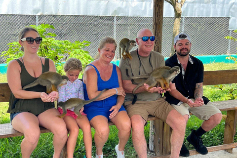 Puerto Plata: Saimiri Monkey Sanctuary, Exotic Flora, and Tropical Oasis