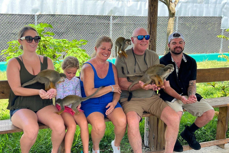 Puerto Plata: Saimiri Monkey Sanctuary, Exotic Flora, and Tropical Oasis