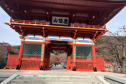 Get to know Minoo from Osaka. Katsuoji Temple, Ryuanji Waterfall and Ryuanji Temple