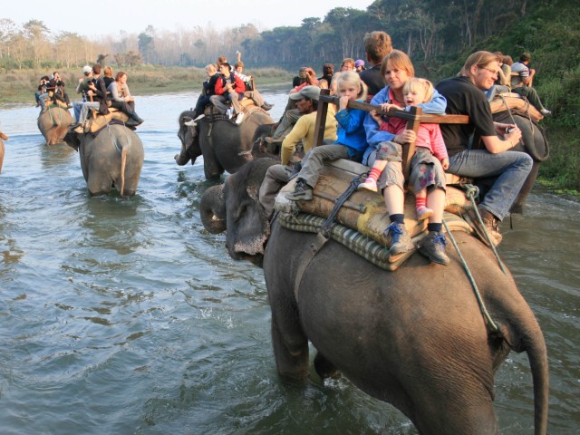 Visit Chitwan Jungle Safari Tour 3-Day Chitwan National Park Tour in Munnar