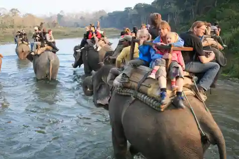 Tour safari nella giungla di Chitwan: tour del parco nazionale di Chitwan di 3 giorni