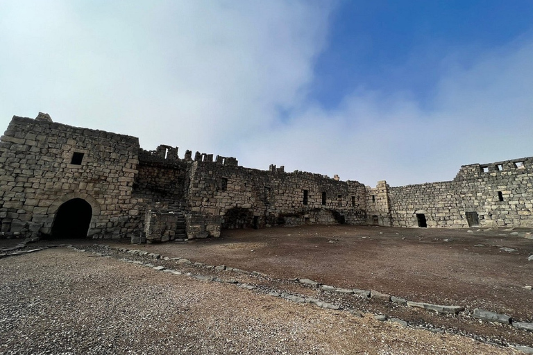 Ammán - Excursión de un día a los Castillos del Desierto y la Reserva del Humedal de Azraq