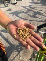 ペナン、田舎の朝のサイクリングツアーの島の後ろ - Housity