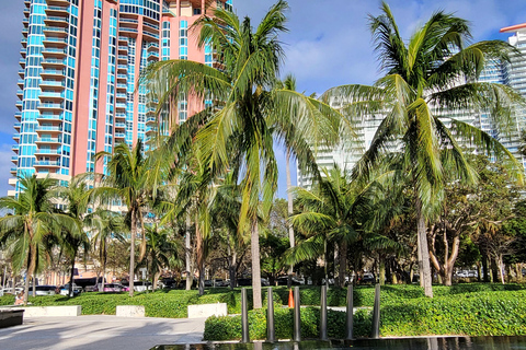 Miami Beach/ Miami: private city tour