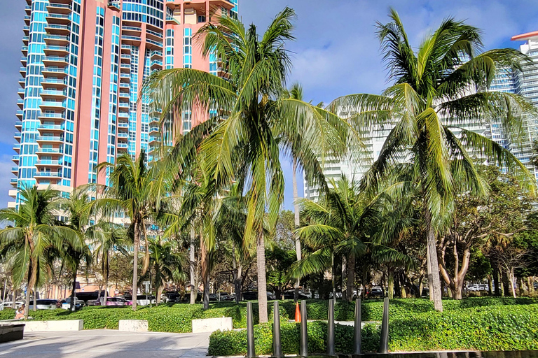 Miami Beach/ Miami: private city tour