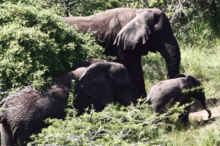 From Kigali: Akagera National Park 2-Day Safari Tour