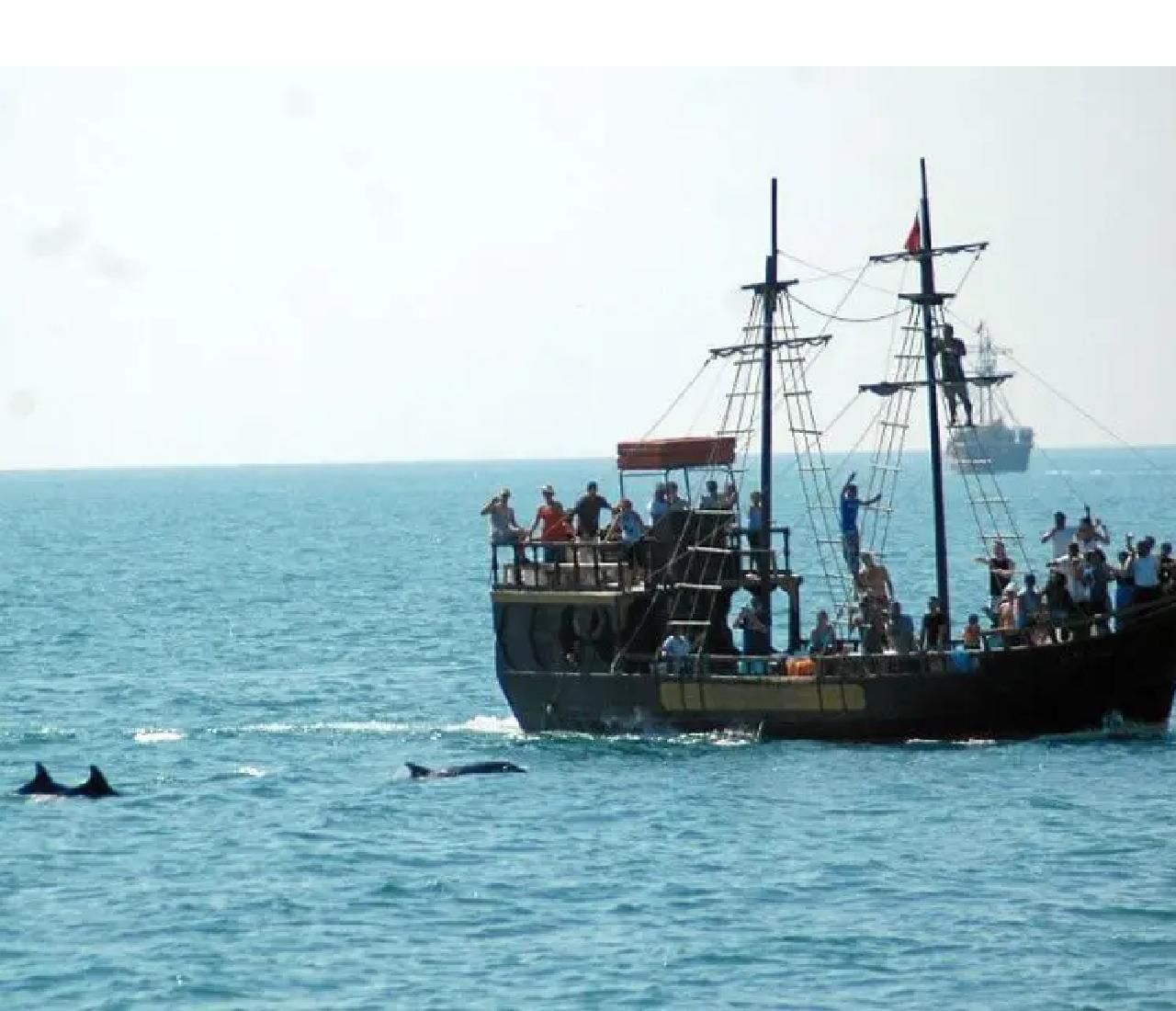 Djerba: Delfin- & Piratenbootfahrt zur Flamingoinsel