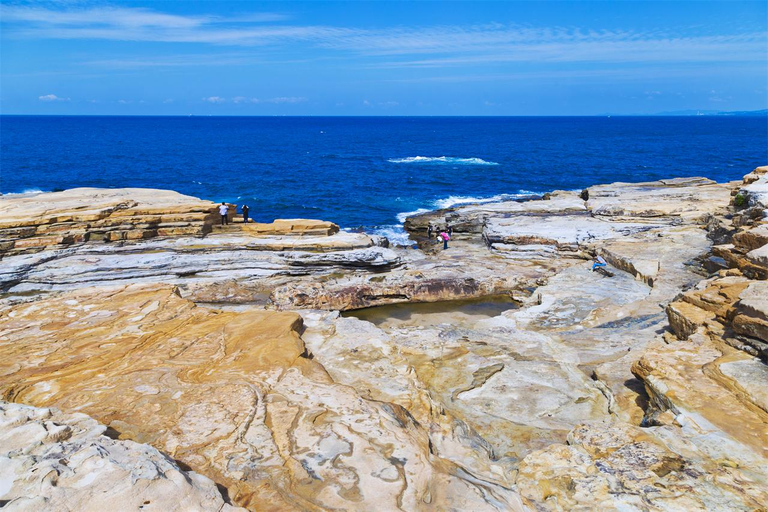 Osaka: Wakayama Cat Train, Seafood market, Hot Springs Tour