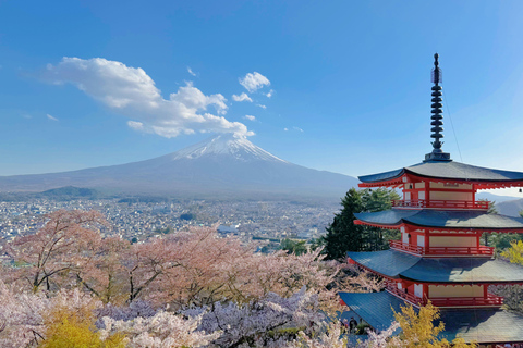 Fuji och Kawaguchisjön Tokyo: Fuji-berget &amp; Kawaguchi-sjön Instagram DagsutflyktFrån Tokyo: Fuji-berget och Oshino Hakkai familjeutflykt