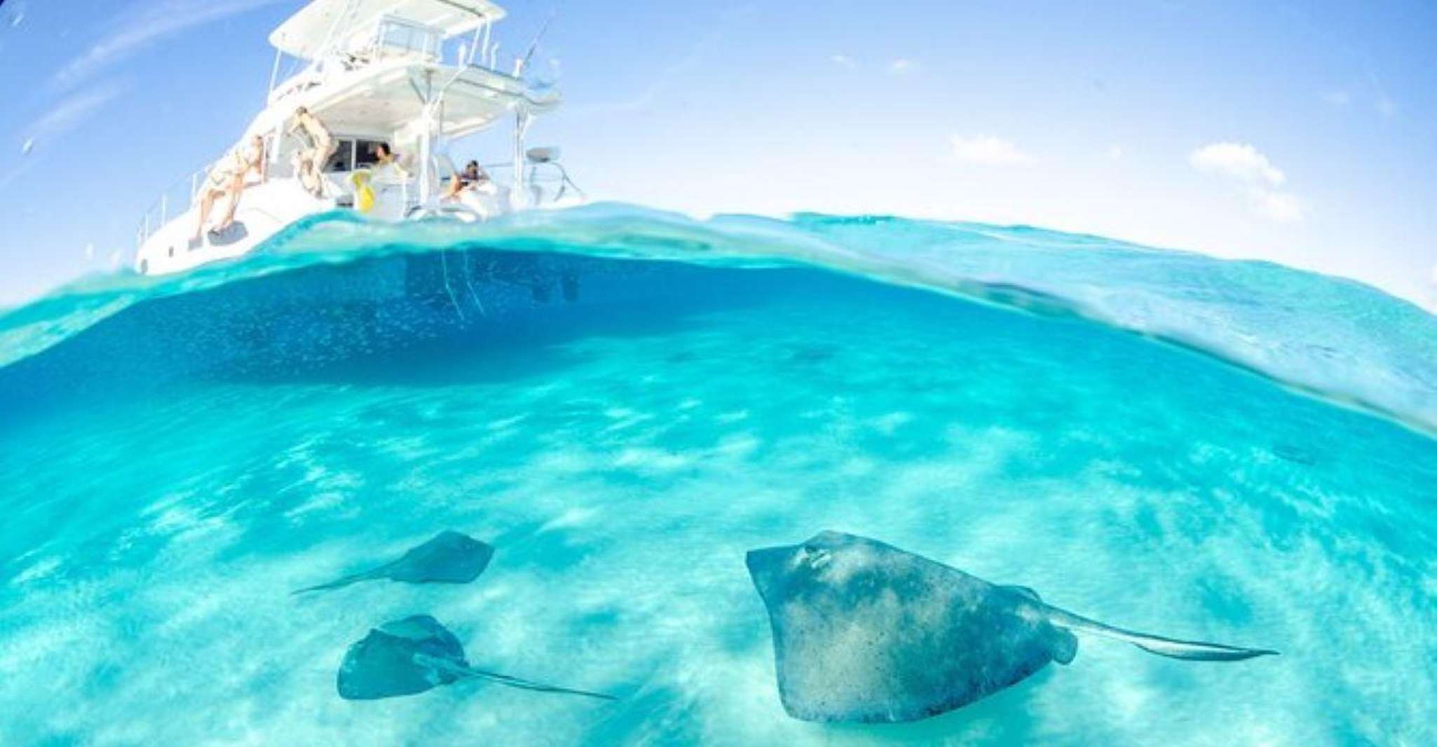 Suitetrails - George Town, Stingray City and Snorkeling at Cayman Reefs